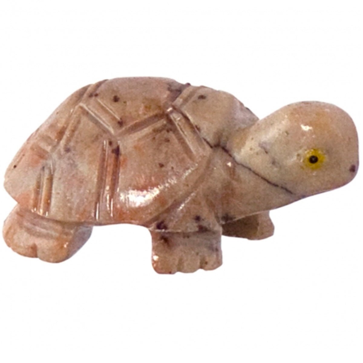 Turtle Spirit Animal - 13 Moons