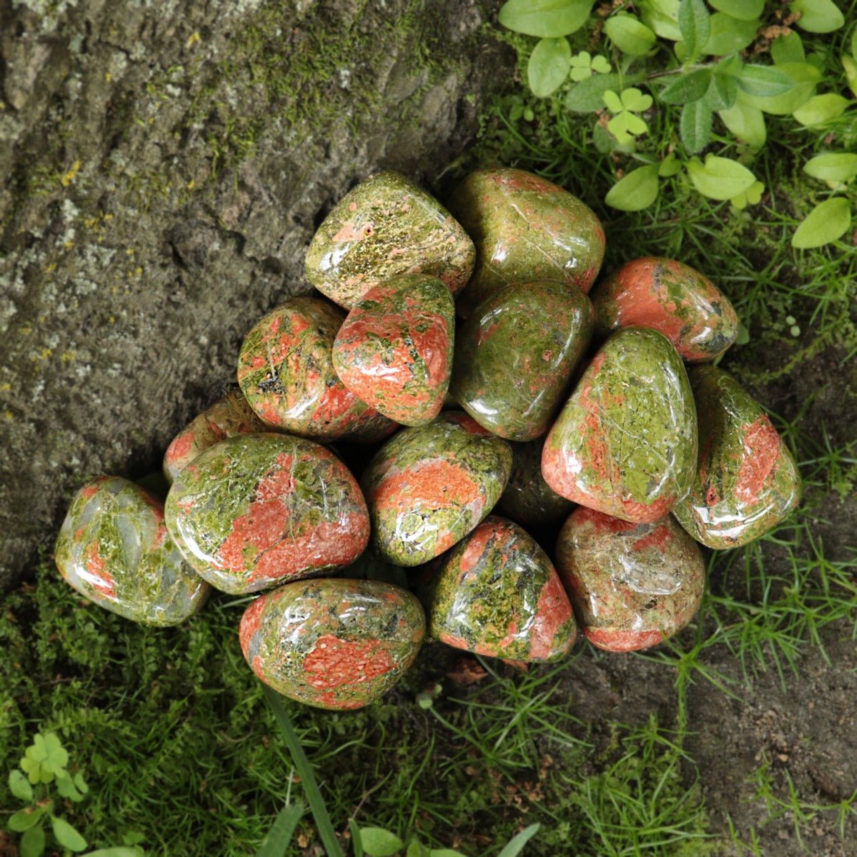 Unakite Tumbled - 13 Moons