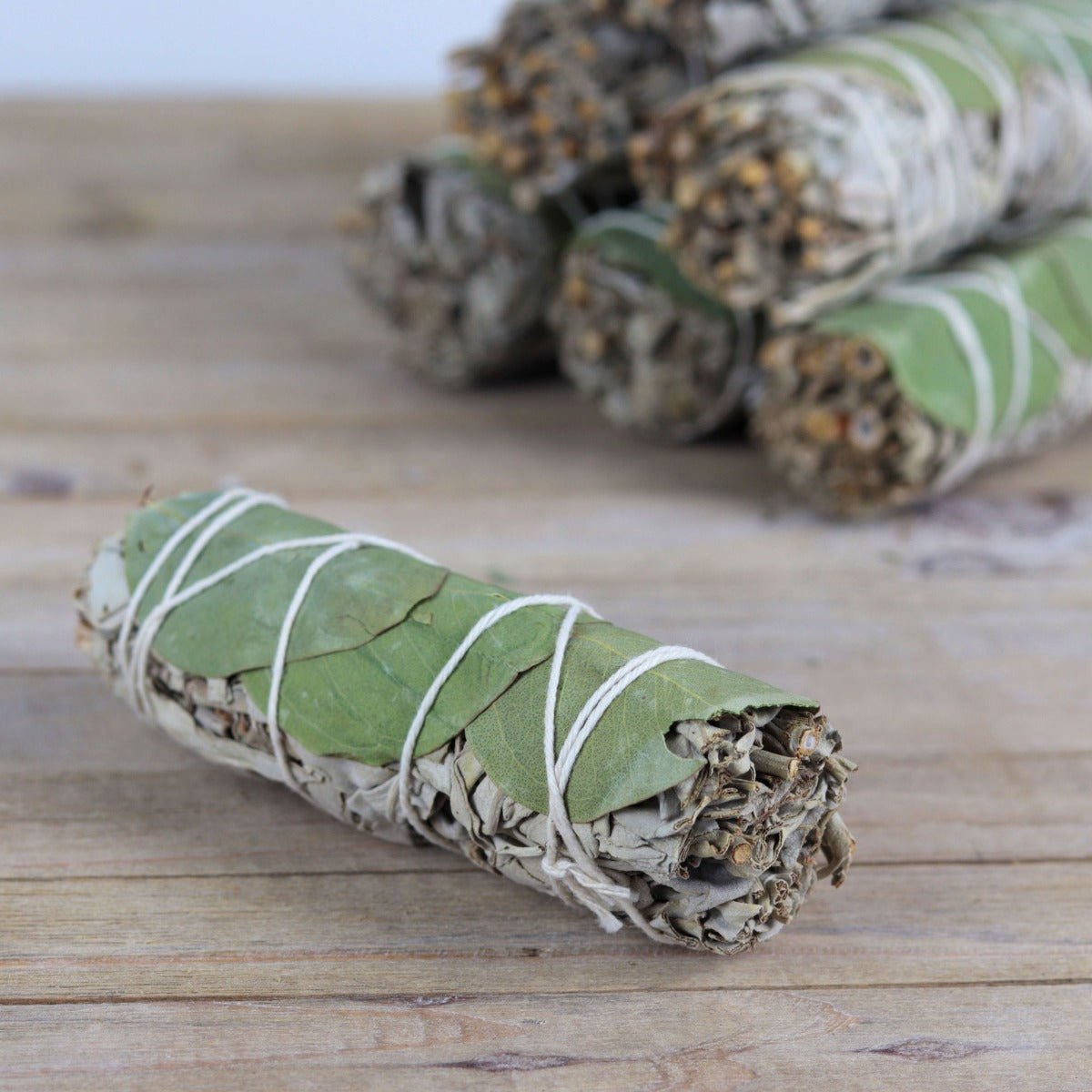 White Sage Eucalyptus Smudge Stick - 13 Moons