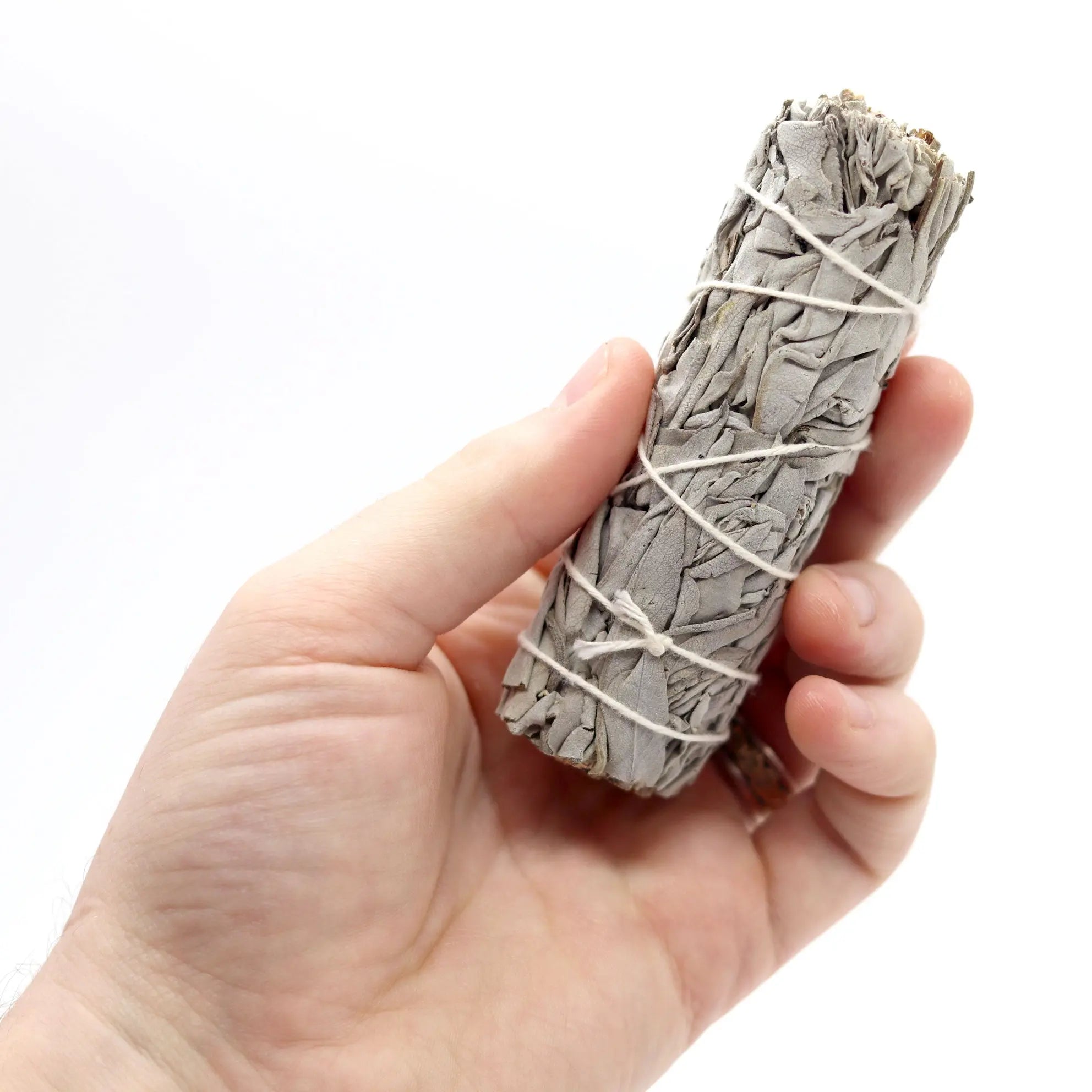 White Sage Smudge Stick, Baby - 13 Moons