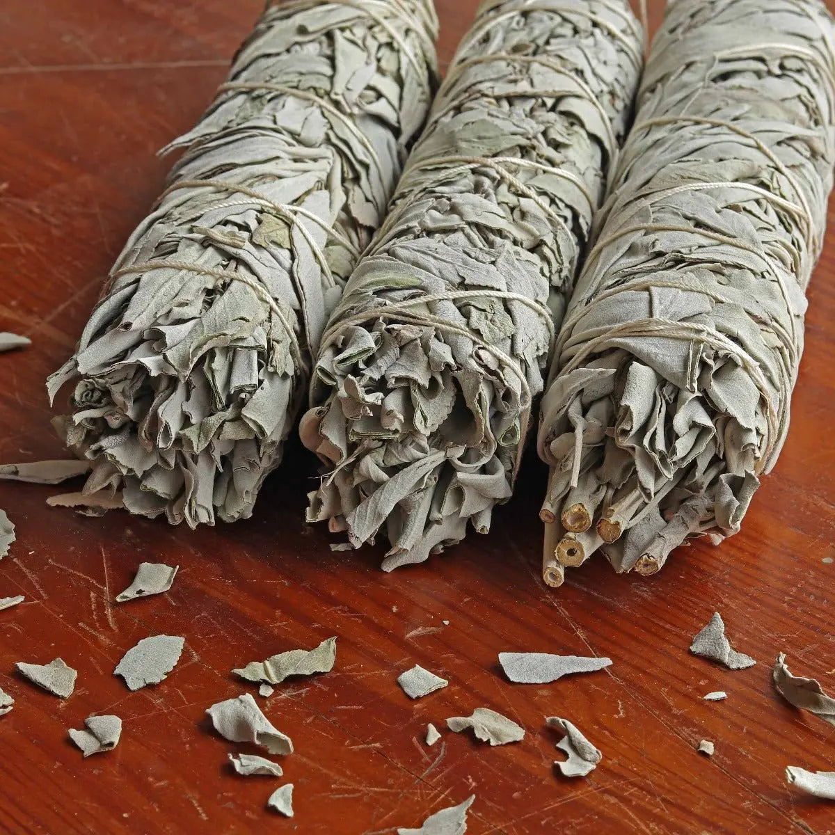 White Sage Smudge Stick, Large - 13 Moons