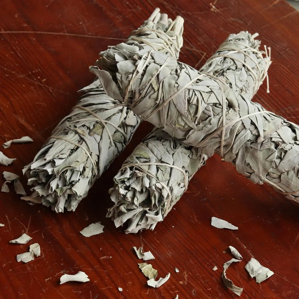 White Sage Smudge Stick, Large - 13 Moons